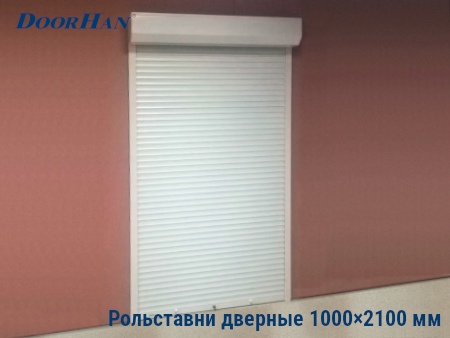 Рольставни на двери 1000×2100 мм в Волгограде от 24825 руб.