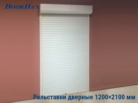 Рольставни на двери 1200×2100 мм в Волгограде от 27346 руб.