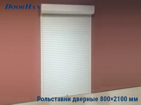 Рольставни на двери 800×2100 мм в Волгограде от 22305 руб.